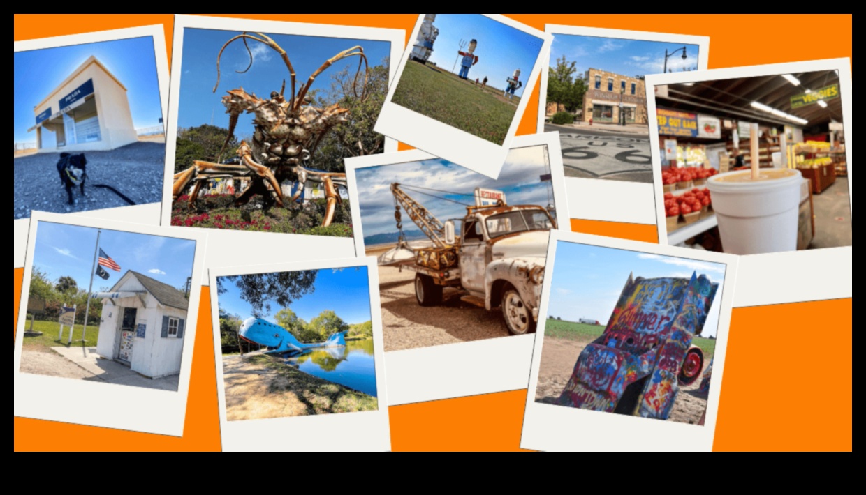 הרהורים בצד הדרך: הסיפורים שמתגלים לאורך המסע של הובלות מסחריות