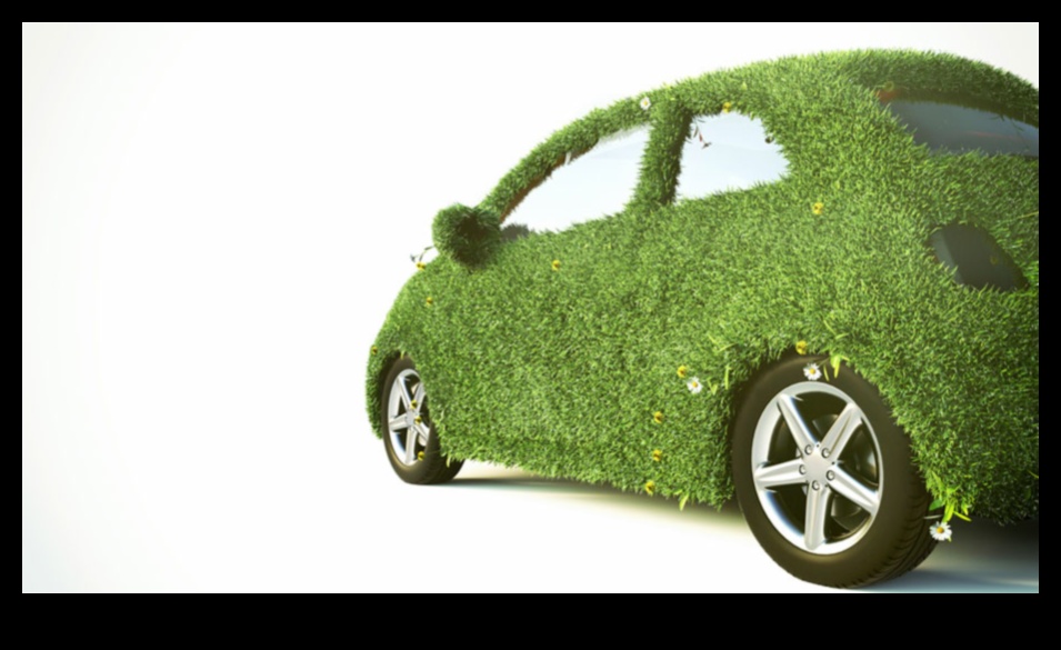 משלחות ידידותיות לסביבה: חקר העולם במכוניות ירוקות