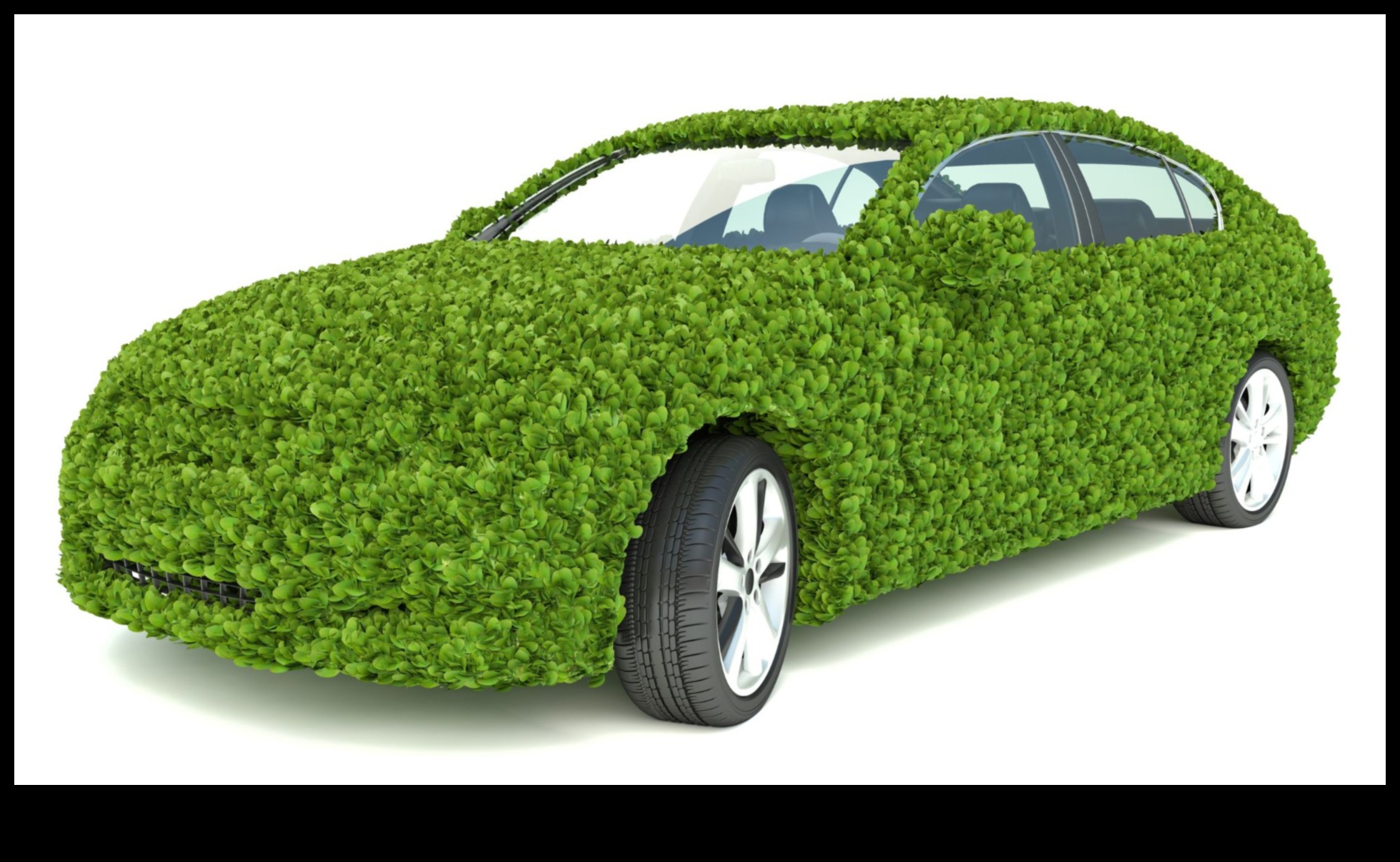 משלחות ידידותיות לסביבה: חקר העולם במכוניות ירוקות