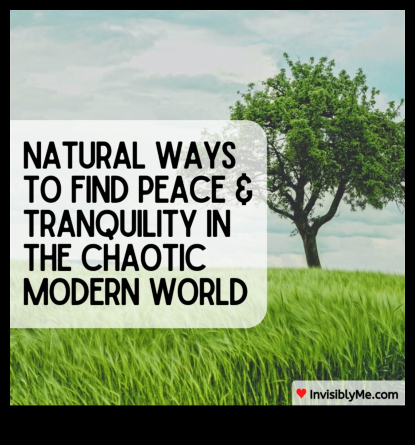 חיים זנפוליים: חיים בזרימת טכניקות הפגת מתח מודע