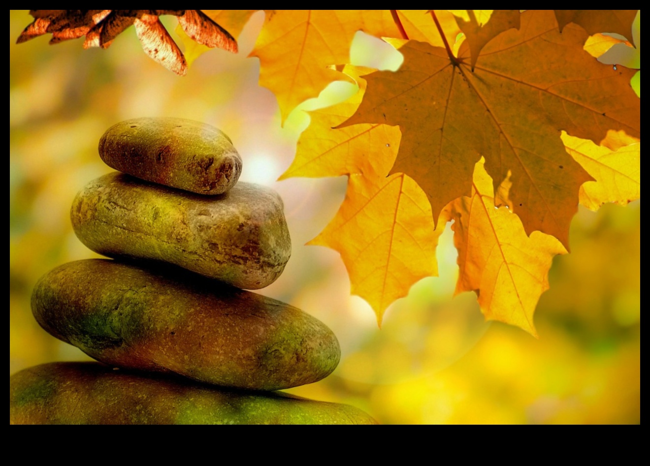 חיים זנפוליים: חיים בזרימת טכניקות הפגת מתח מודע