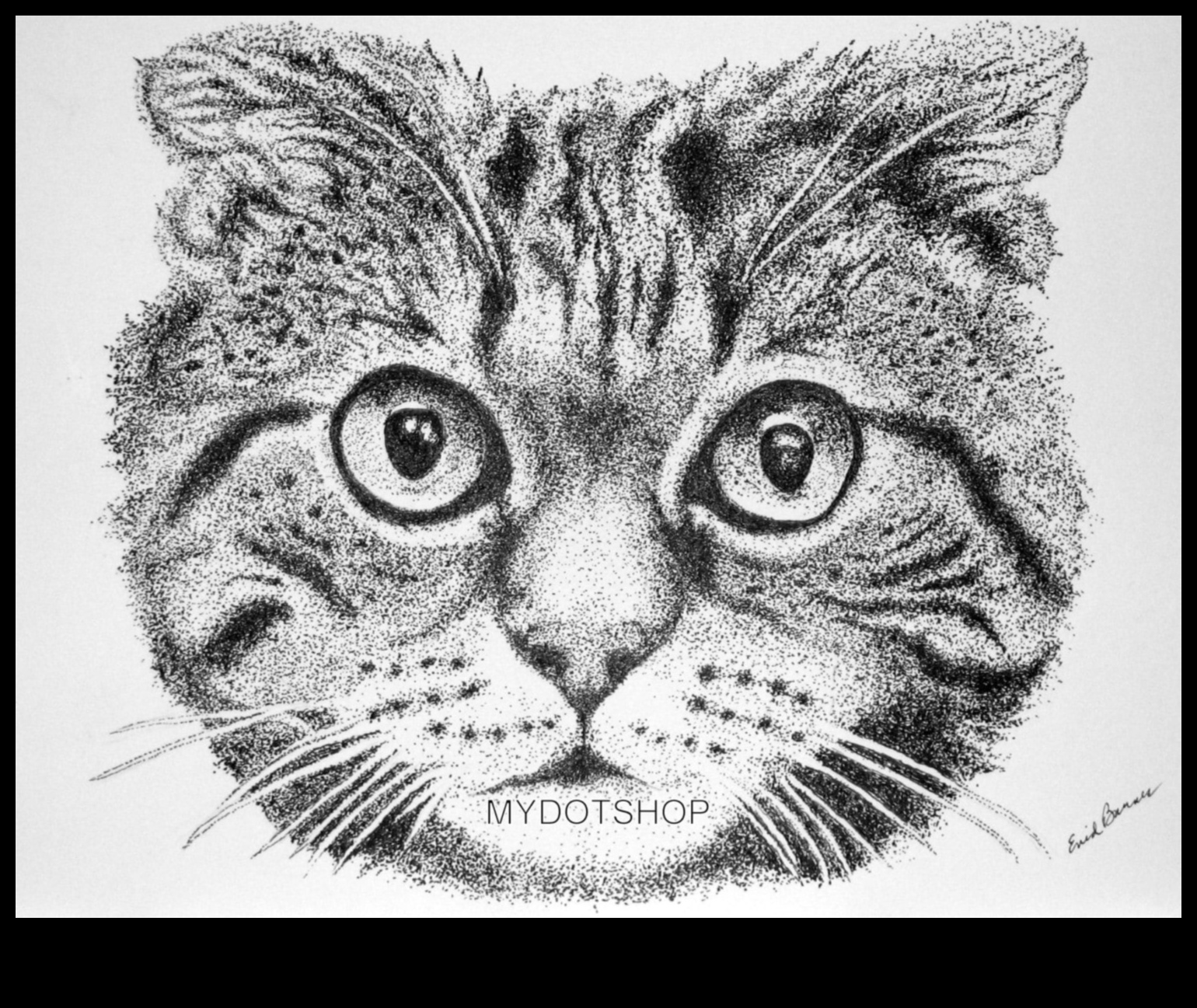 האינטרנט המורכב: חקר פוינטיליזם בציורי דיו