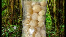 תחושות צ'יה: מדריך ליצירת אליקסירים בריאים שאי אפשר לעמוד בפניהם