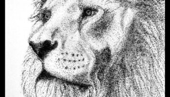 האינטרנט המורכב: חקר פוינטיליזם בציורי דיו